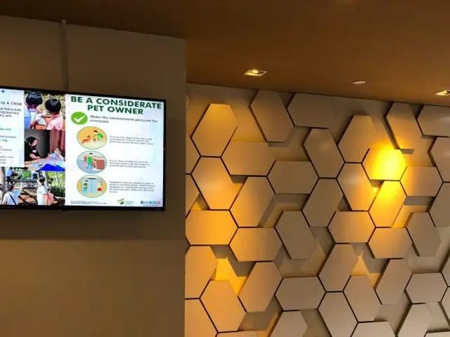 Anjels Media