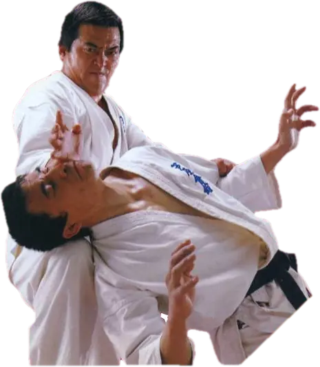Ashihara Karate