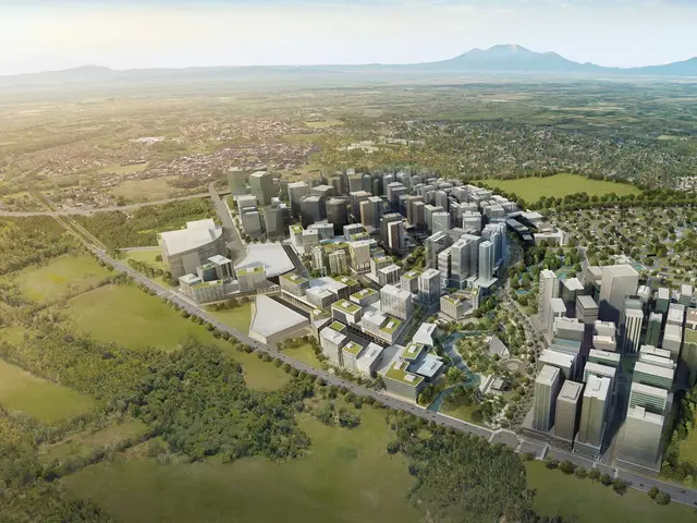 Ayala Land International