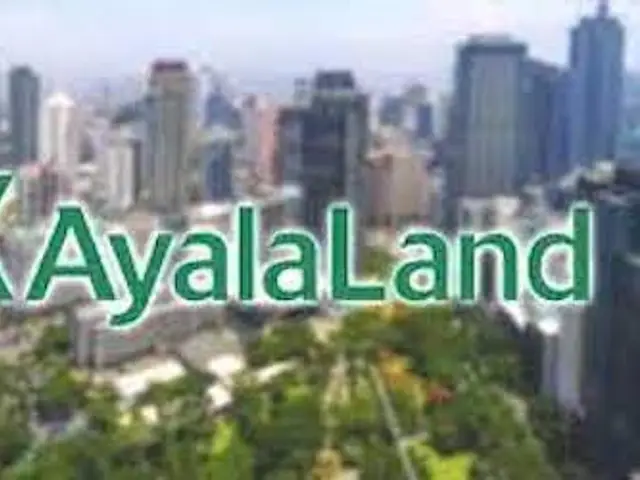 Ayala Land International