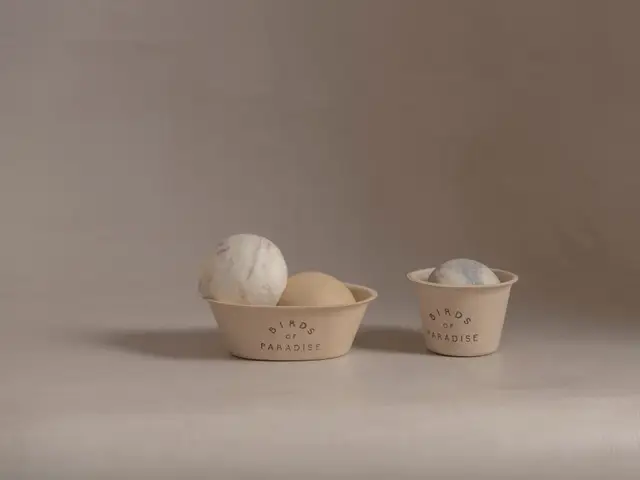Birds of Paradise Gelato Boutique