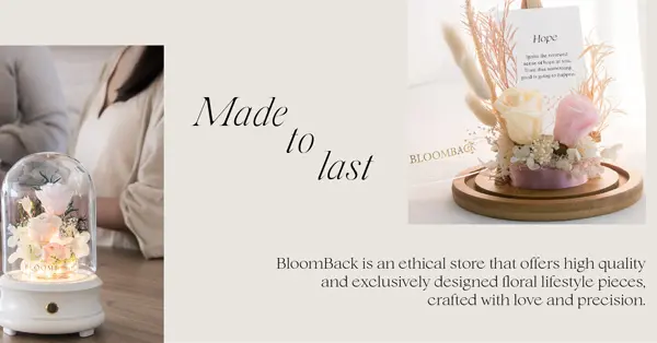 BloomBack