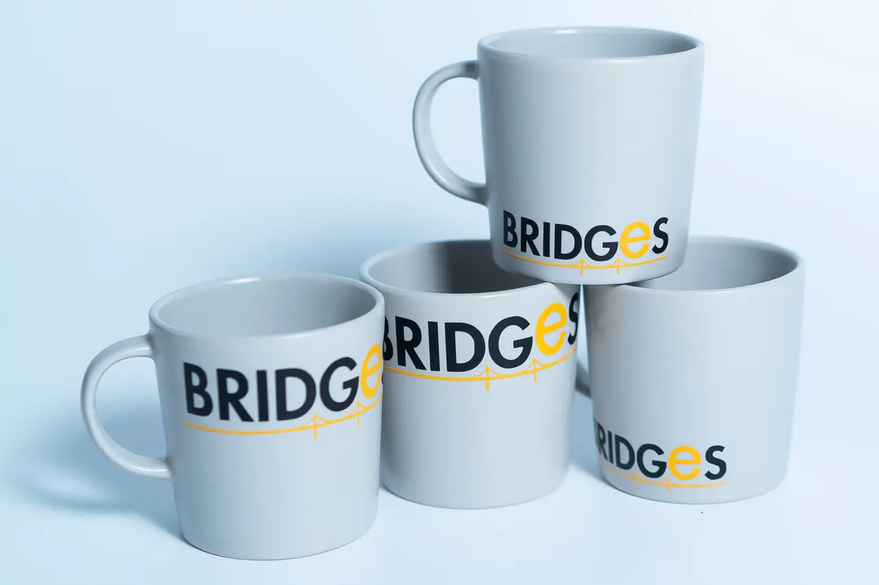 Bridges M and C