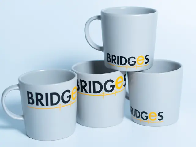 Bridges M and C