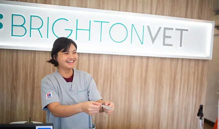Brighton Vet Care