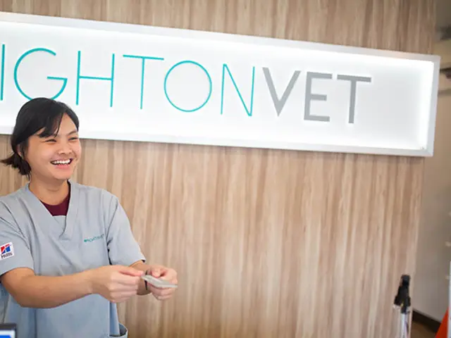Brighton Vet Care