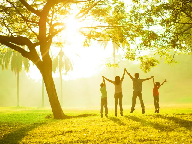 Community Psychology Hub