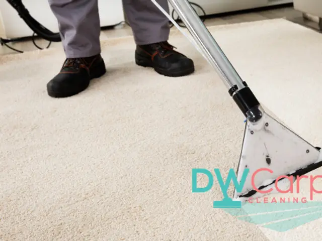 DW Carpet Cleaning Singapore