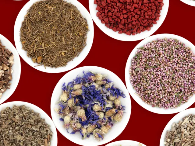 Enok TCM Clinic