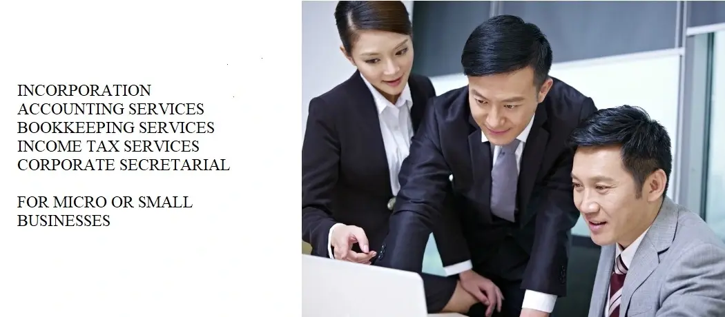 Enterprise Bizpal Pte Ltd - Accounting and Bookkeeping Services Singapore