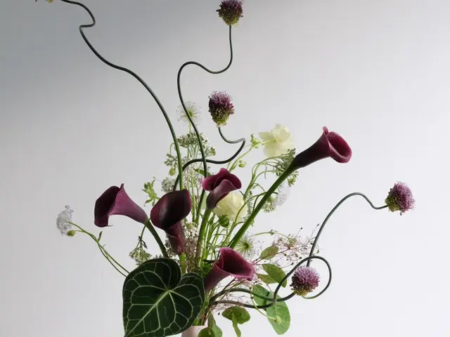 Flower Lab Singapore