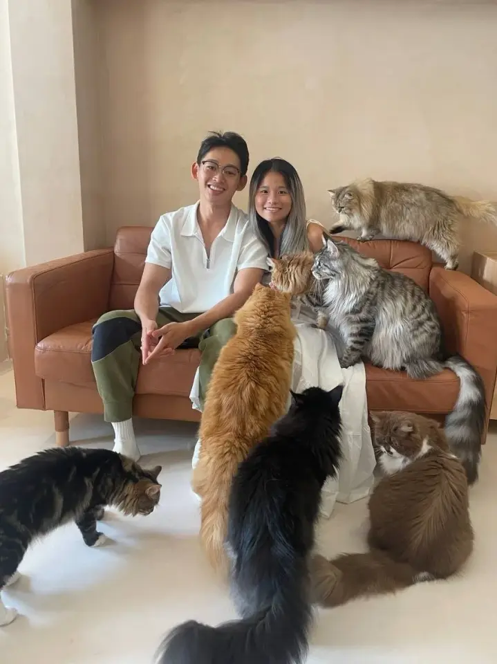 Fluffydolls Catfe