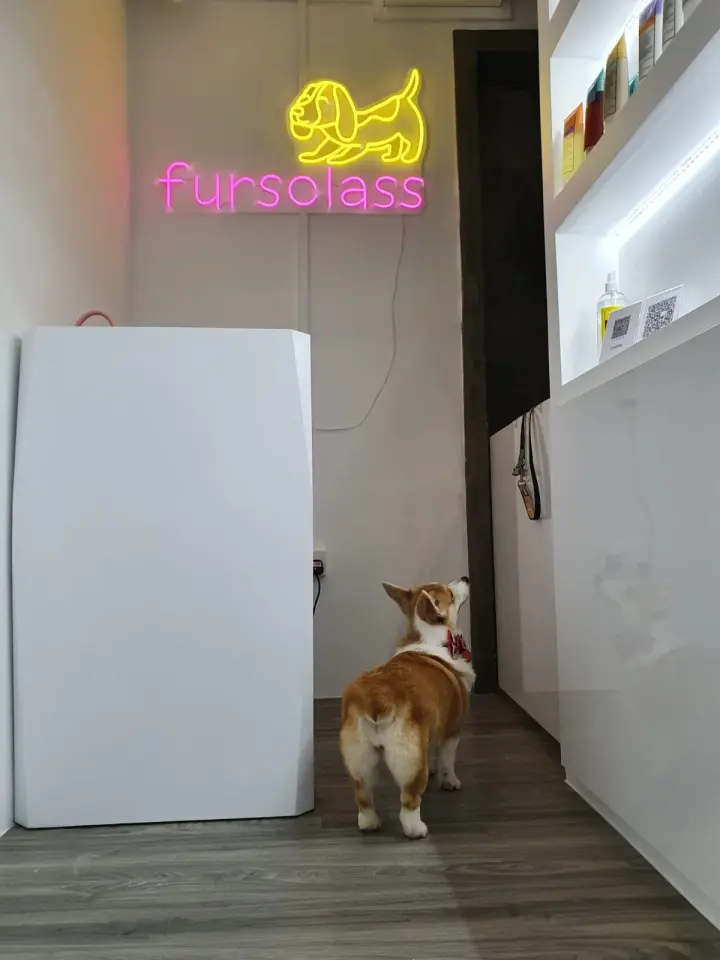 Fursclass Pet Grooming Salon