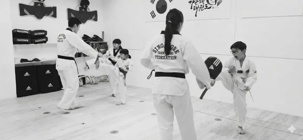 Gaonhae Taekwondo Balmoral Plaza