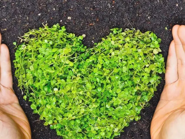 Greenco ESG Advisory Pte Ltd