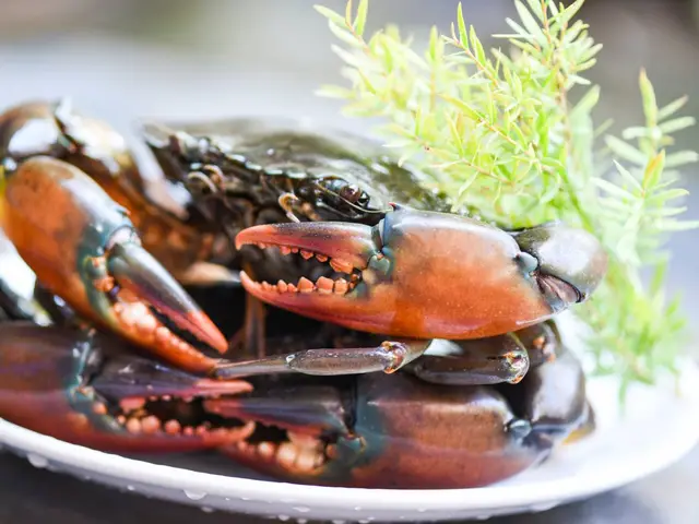Ha Ha Crabs & Seafood