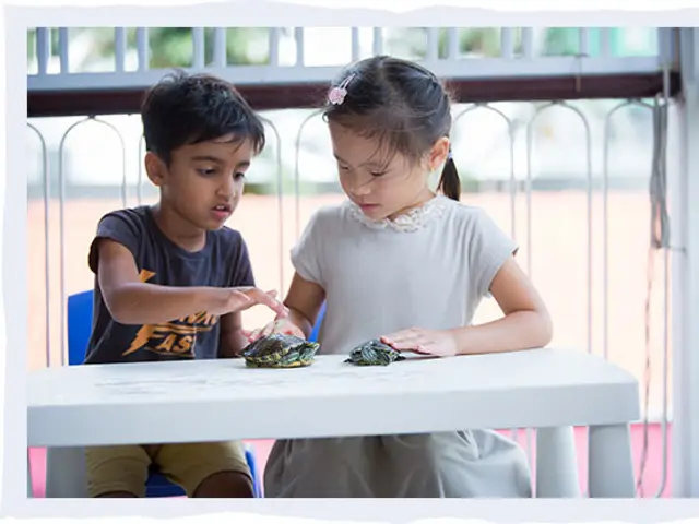 Heartfield Kindergarten