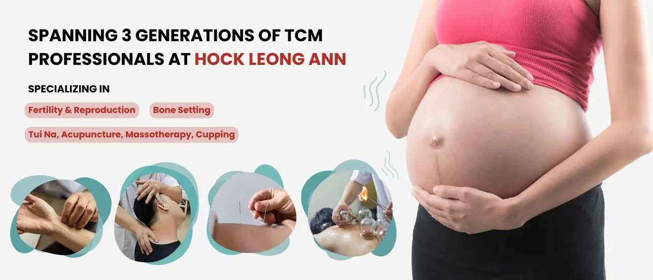 Hock Leong Ann TCM Clinic (Sumang)