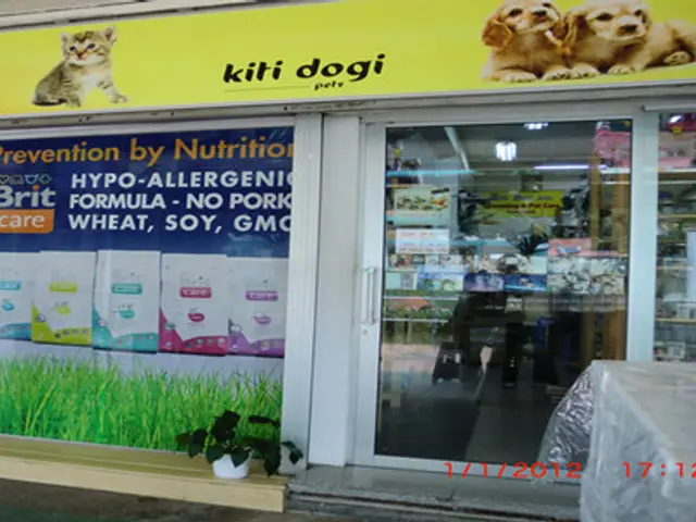 Kiti Dogi Pets