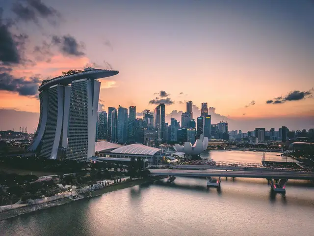 LIM Immigration Services