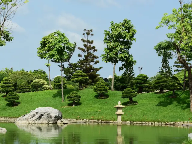 Lovely Landscape and Construction