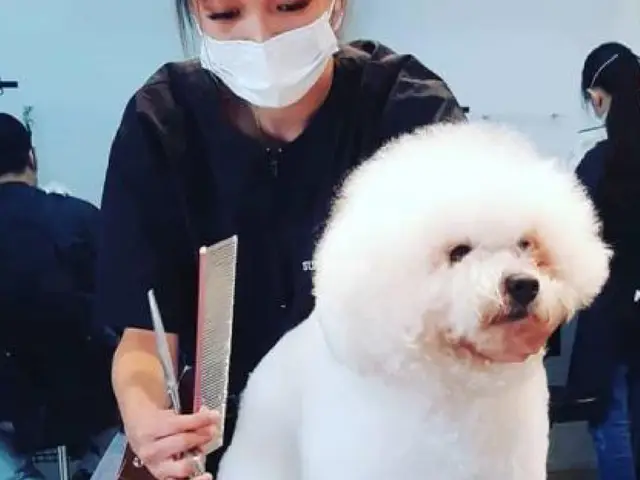 Masmasgroomers Pet Grooming Centre
