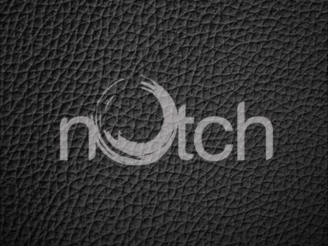 nOtch productions Pte Ltd