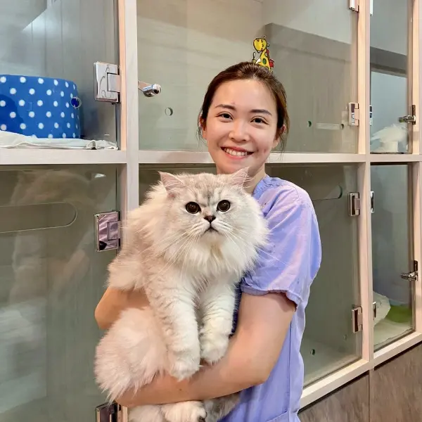 Paws N Claws Veterinary Surgery