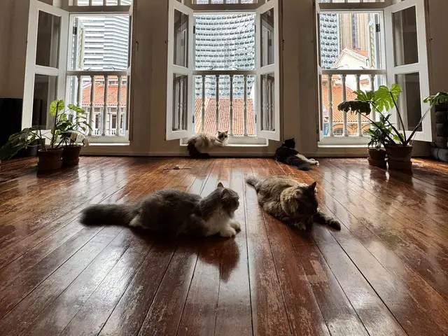 Peculiar Yogi