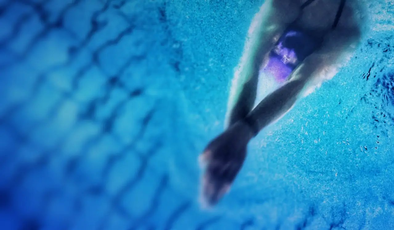 Penguin Swim School