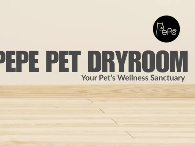 Pet Connexion