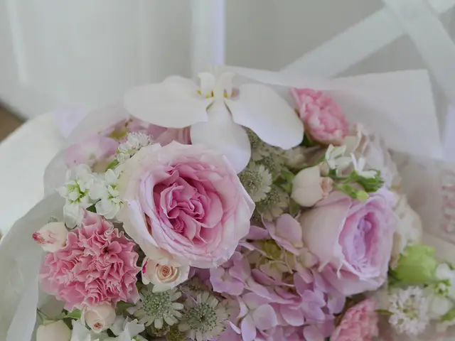 Petal Studio