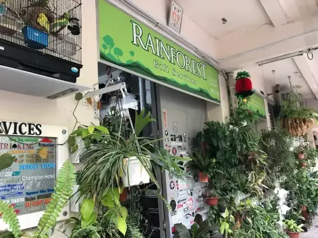 Rainforest Gift Services
