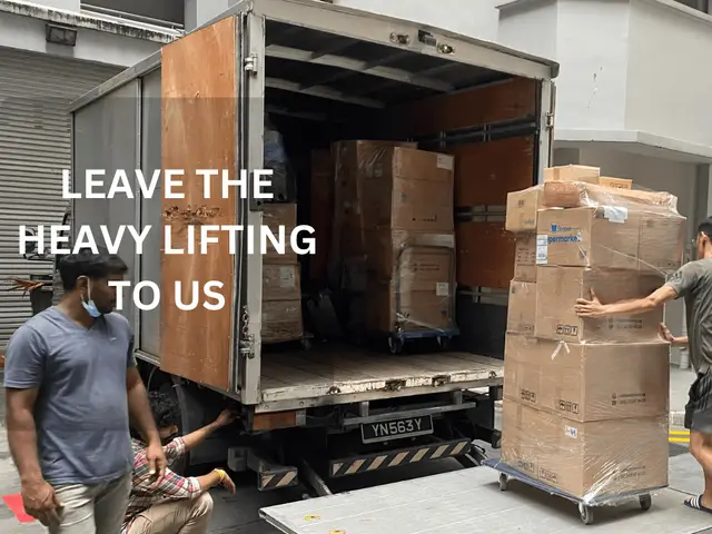 Rodex Movers