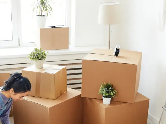 SFR Logistics