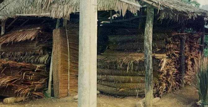 Sin Hup Seng Bamboo Chicks and Blinds