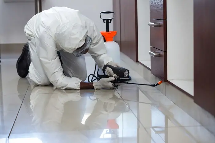 System Pest Control Services