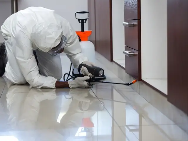 System Pest Control Services