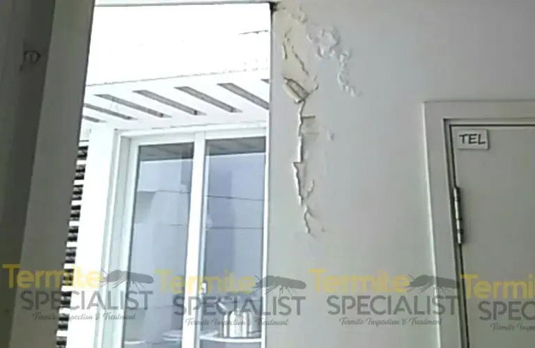 Termite Specialist Pte Ltd