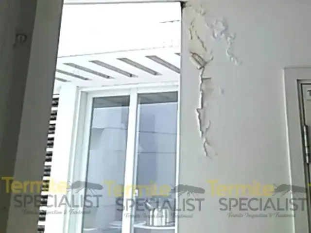 Termite Specialist Pte Ltd