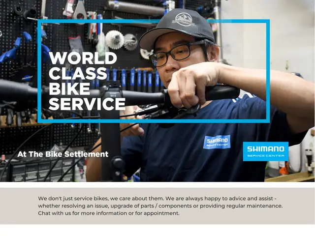 The Bike Settlement