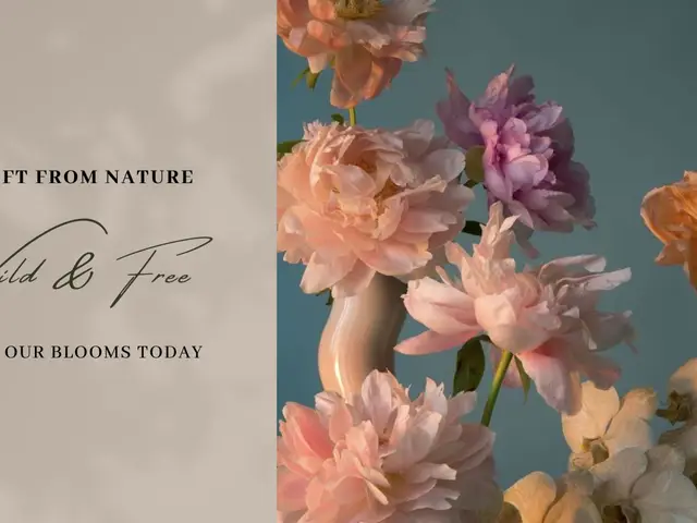 The Interior Collections