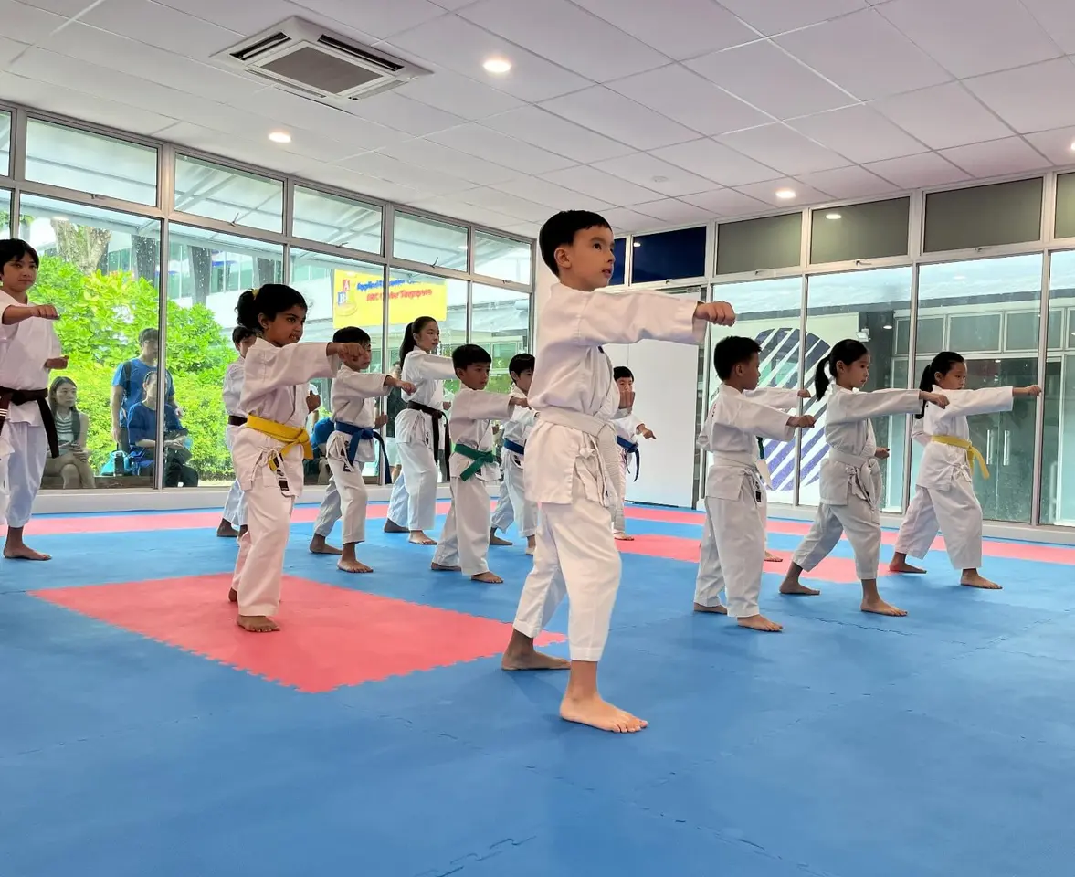 The Karate Academy