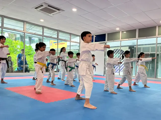 The Karate Academy