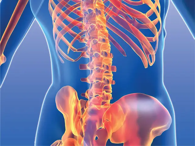The Osteopathic Centre
