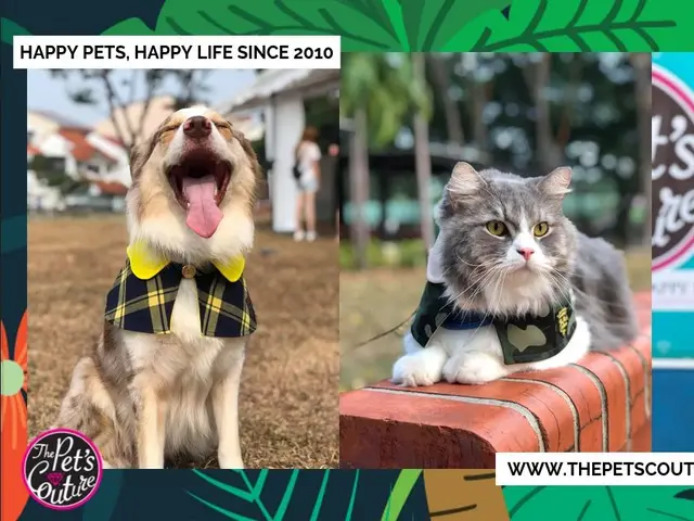 The Pets Couture Pte Ltd