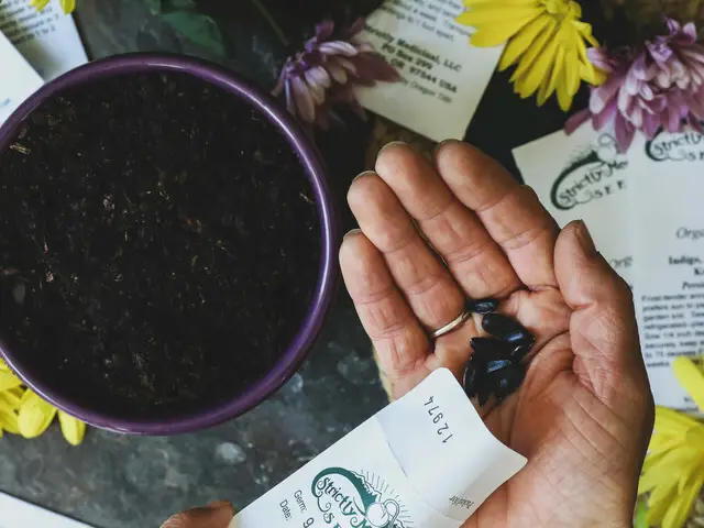 The Plain Jane Cafe