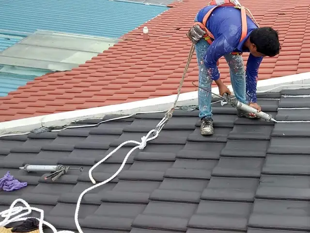 The Roofing Specialist