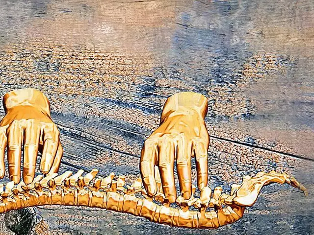 The Spine Whisperer