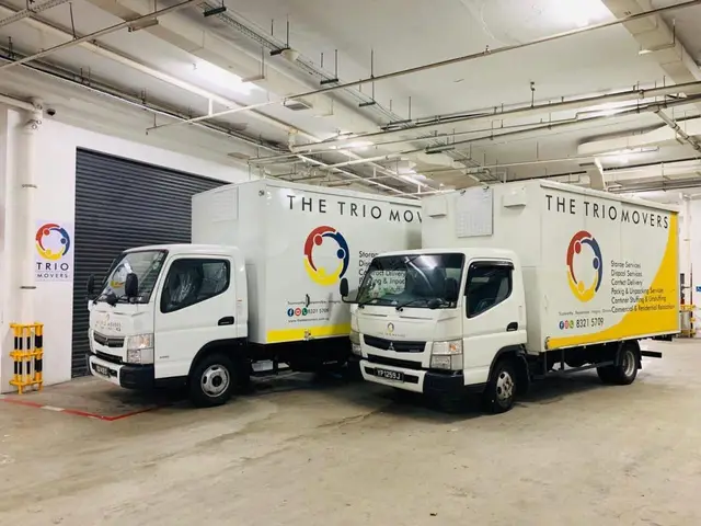 The Trio Movers